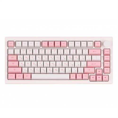 Keyboard Akko 5075B Plus Prunus Lannesiana CS Silver RGB | ERC