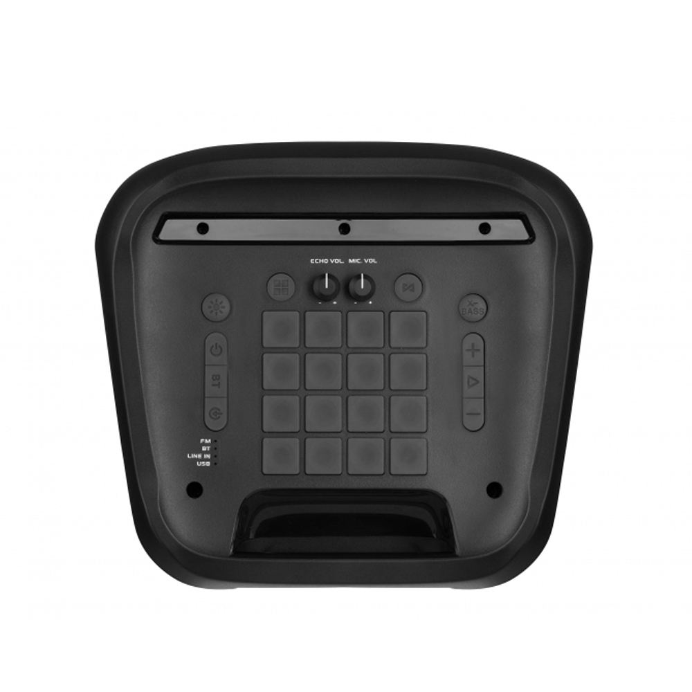 2E yuqori quvvatli portativ audio tizimi | ERC